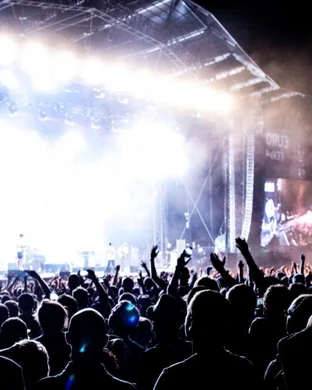 Gimme Gimme Disco Napa