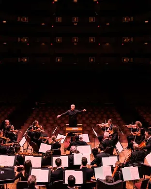 National Symphony Orchestra Davis