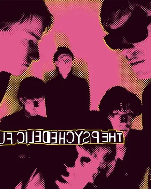 The Psychedelic Furs Napa